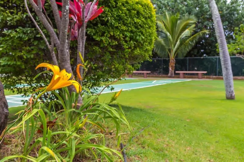 Beachfront Bungalow Walk To Ocean & Restaurants Lihue