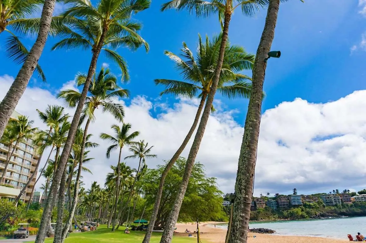 Beachfront Bungalow Walk To Ocean & Restaurants Lihue ABD
